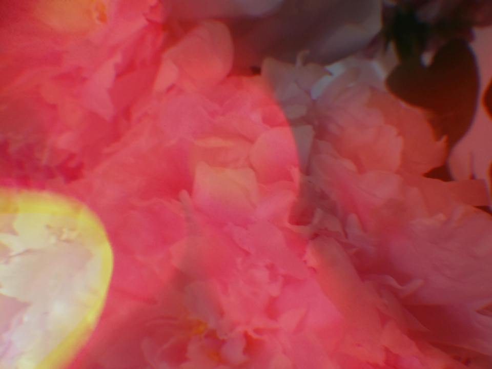 41671163_1925856037716884_8249268313046122496_n